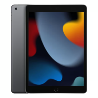 Apple iPad Air 2 Wi-Fi 16 GB -Silver-Grade Pristine Condition